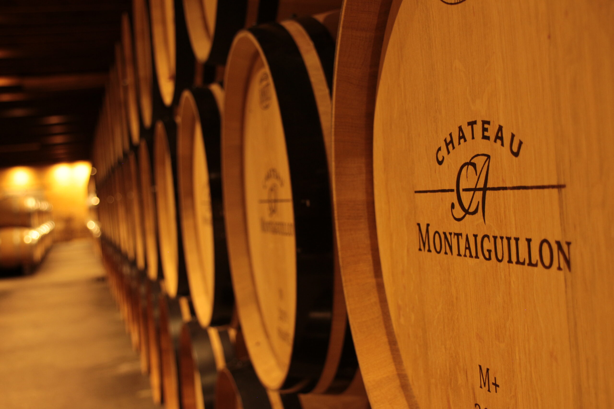 Château Montaiguillon