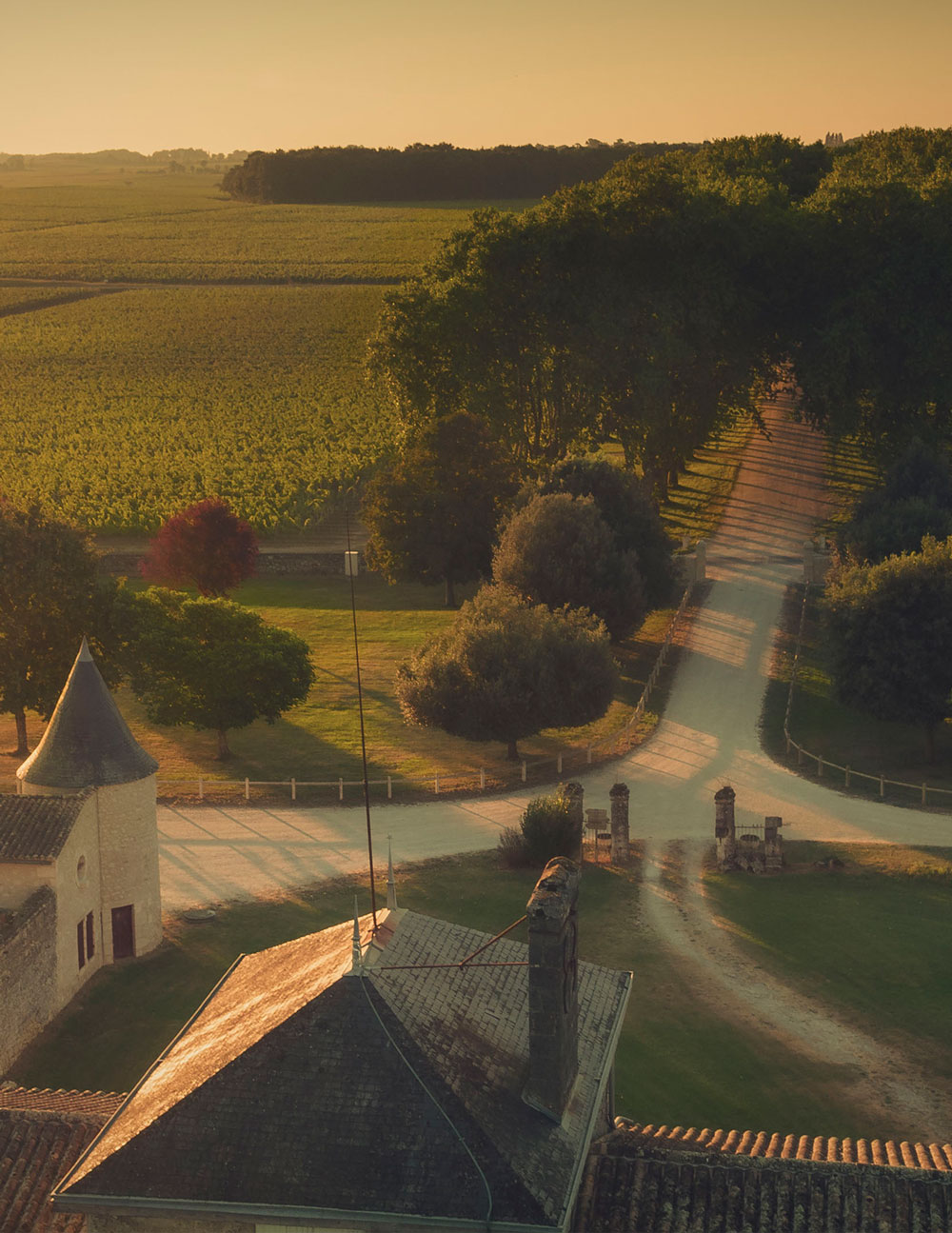 Domaine Tour prignac