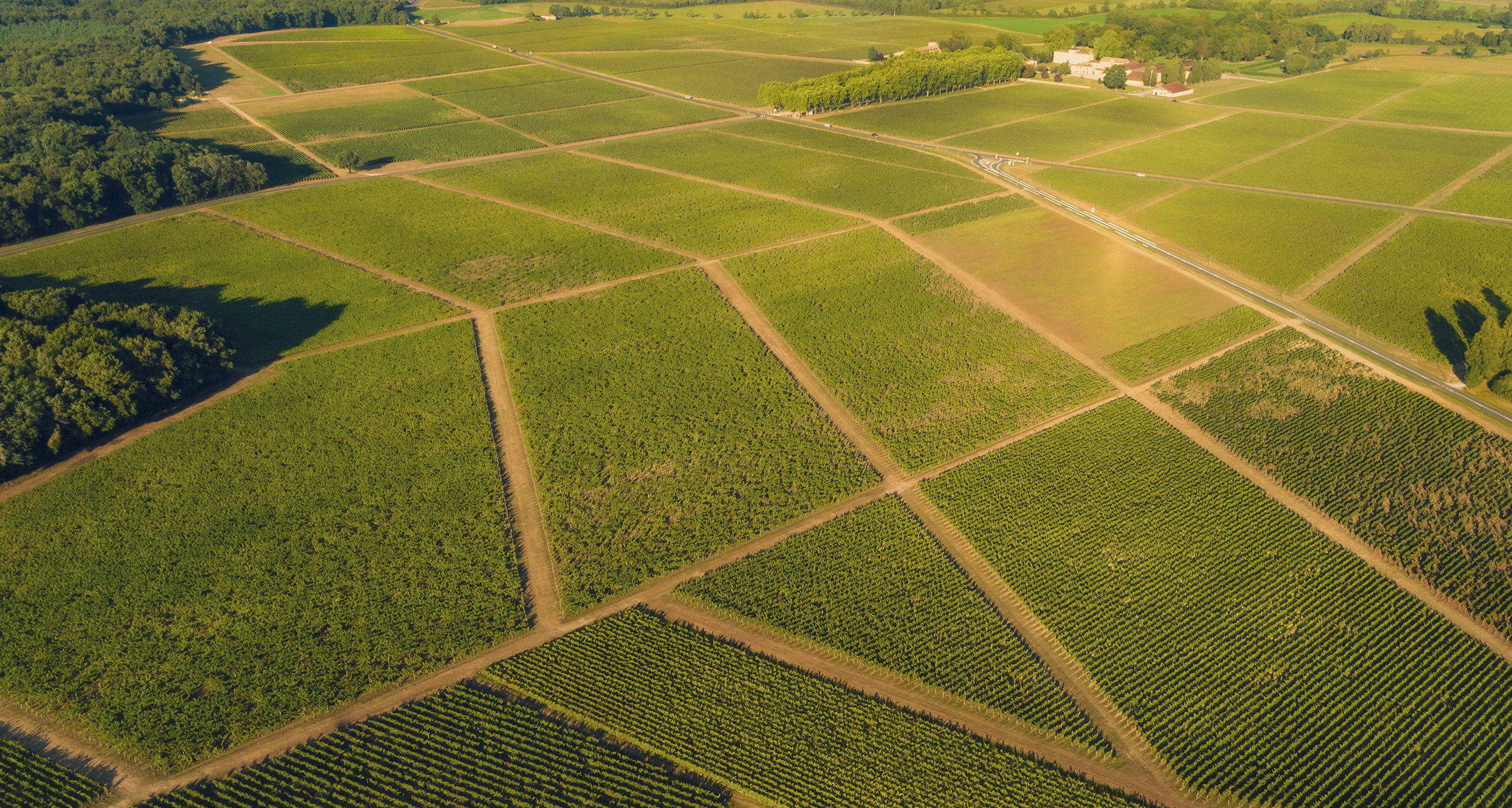 Terroir de Tour Prignac