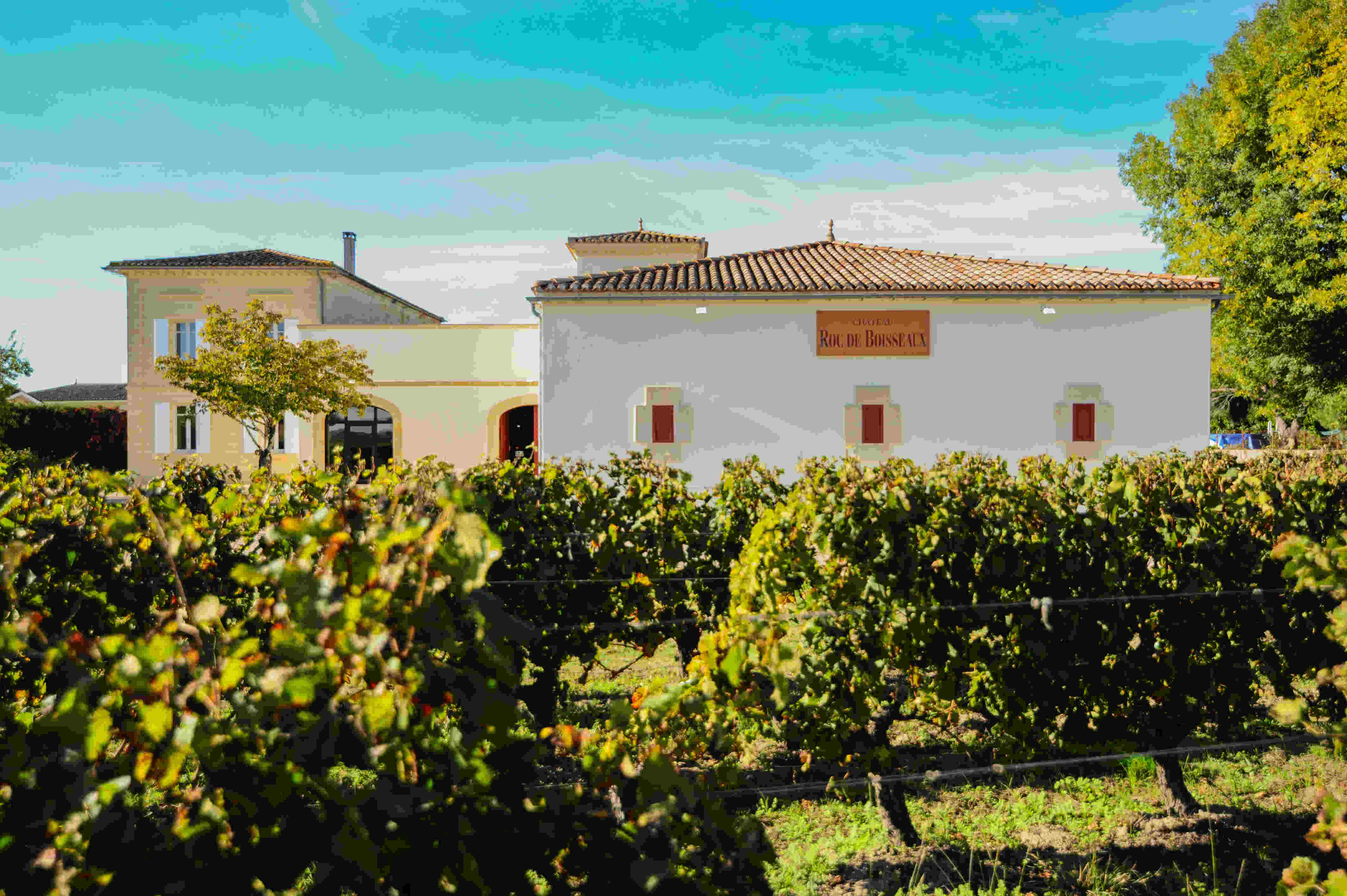 Château Roc de Boisseaux - Saint-Émilion Grand Cru