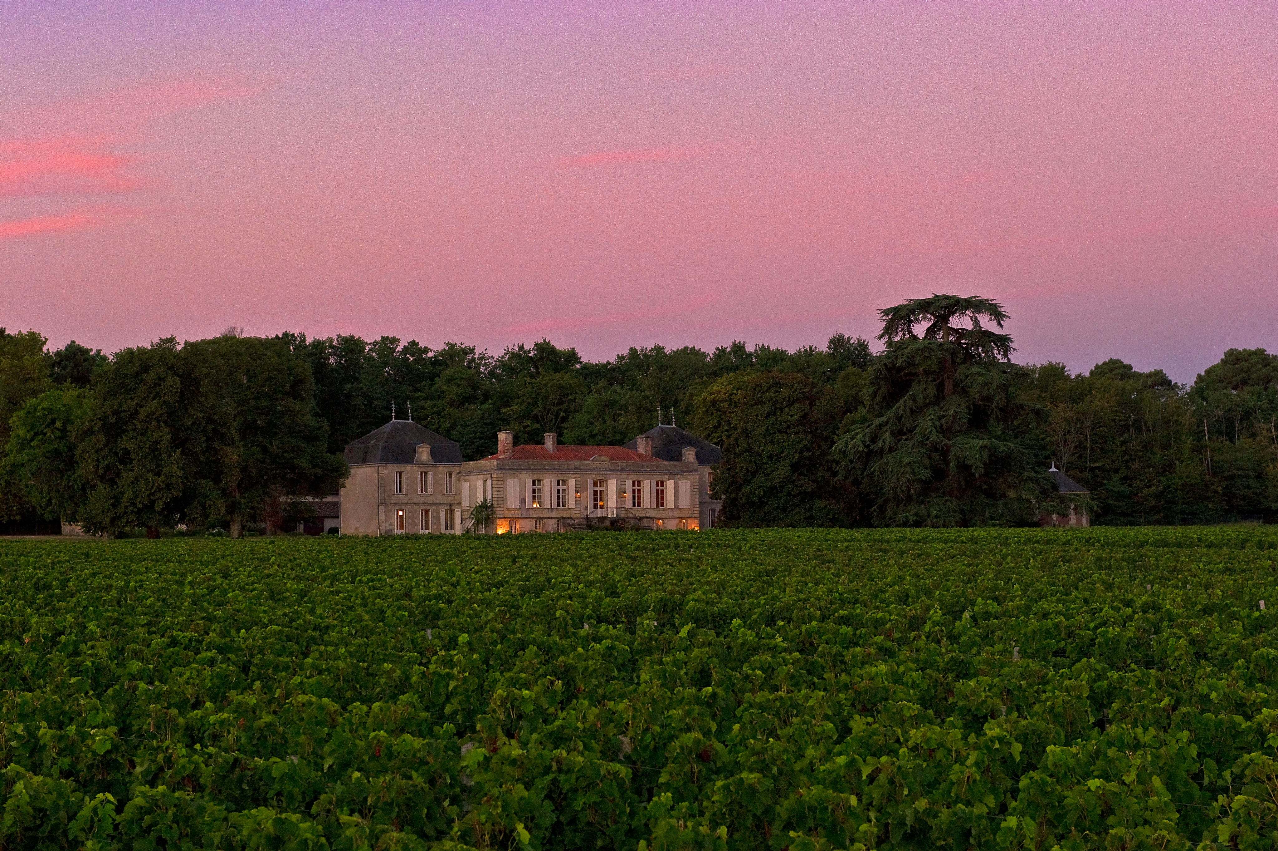 Château Picque Caillou