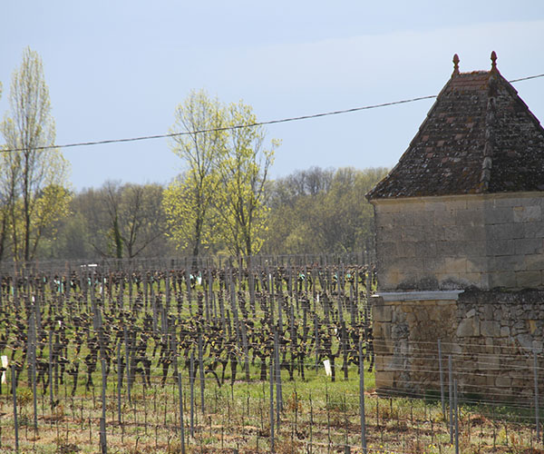 Château des Bruges