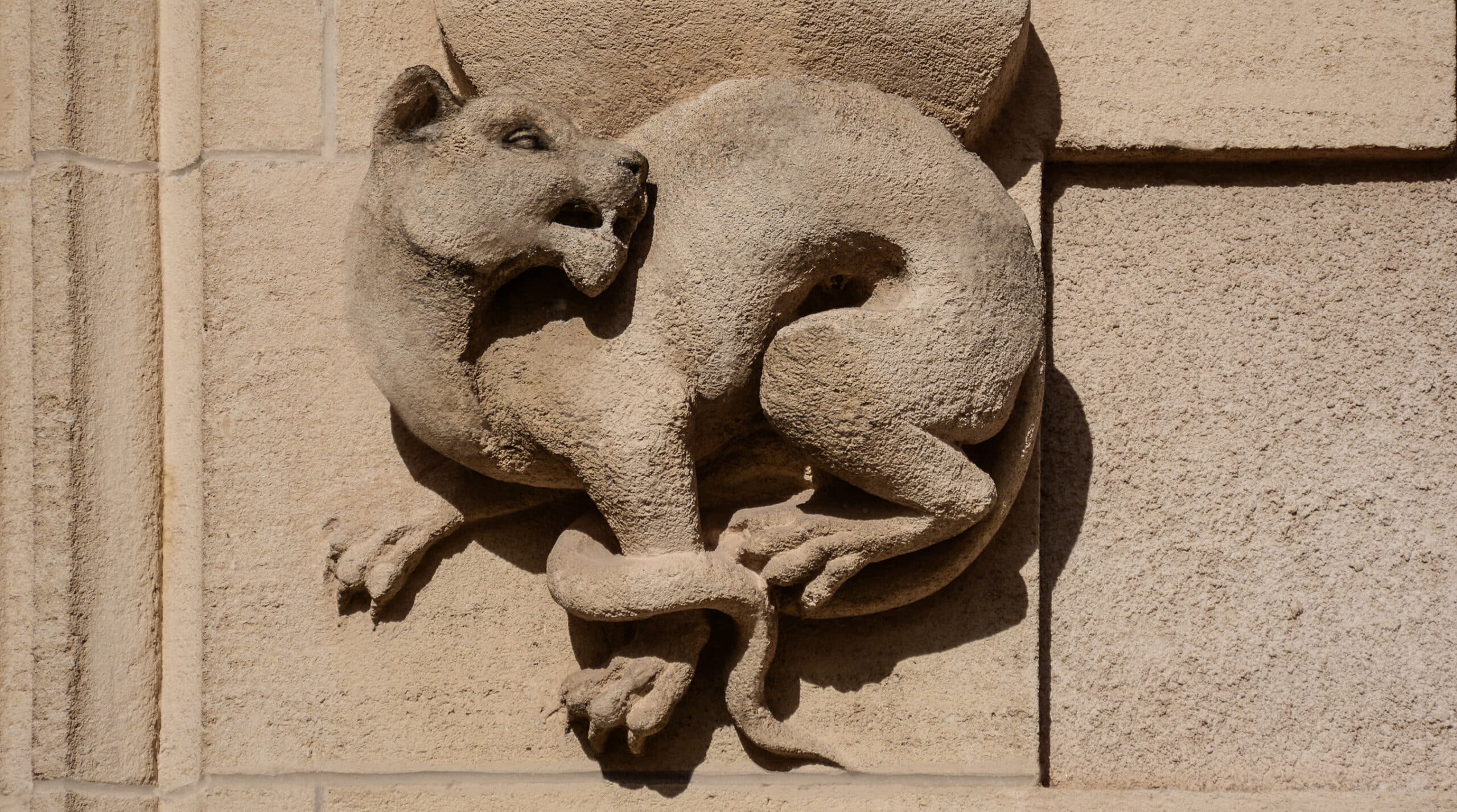 Château de Pressac — photo 3