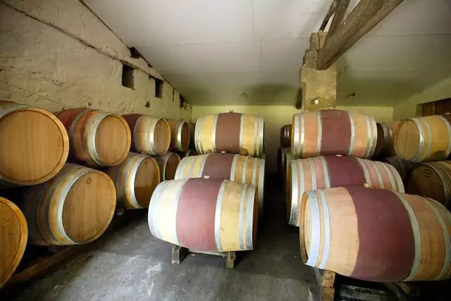 Château Saincrit — photo 3