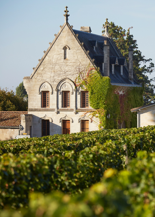 Château la Gaffelière — photo 4