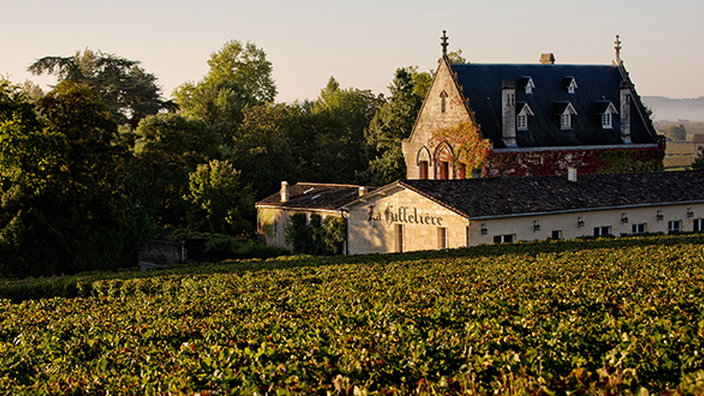 Château la Gaffelière — photo 8