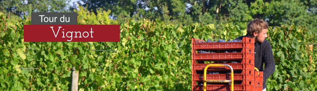 Château Milens - Domaine viticole