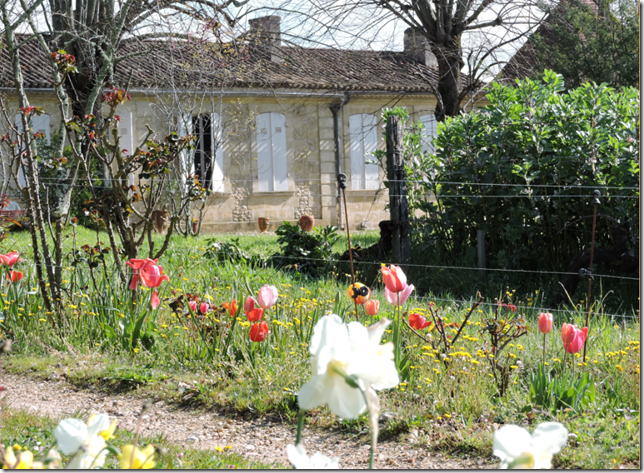 Château Brethous — photo 5