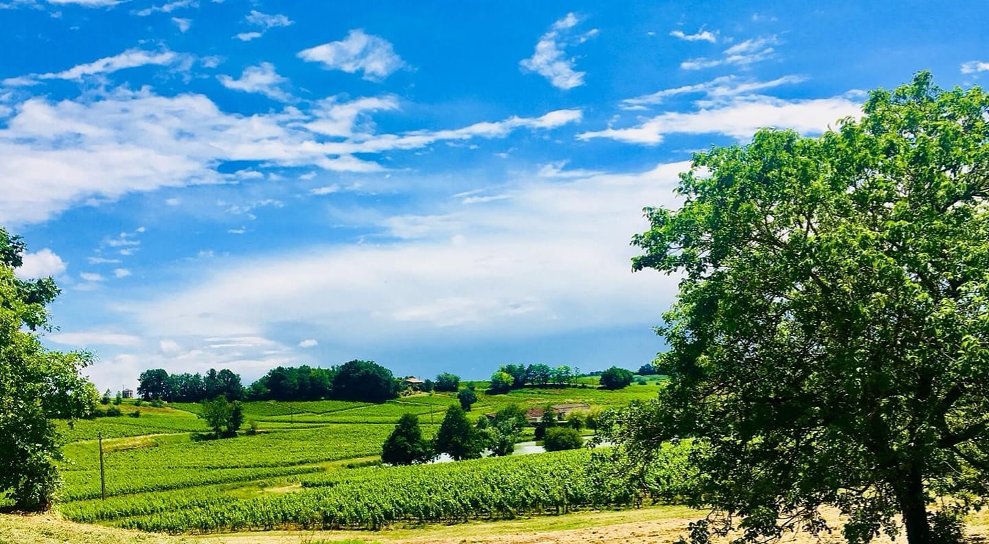 Château Clos de Bouard — photo 4