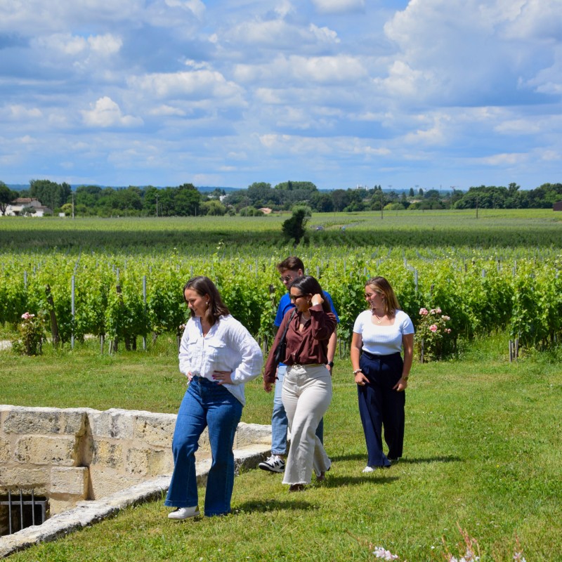 Château la Marzelle — photo 4