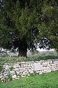 Plaque à Pierre du Gua,