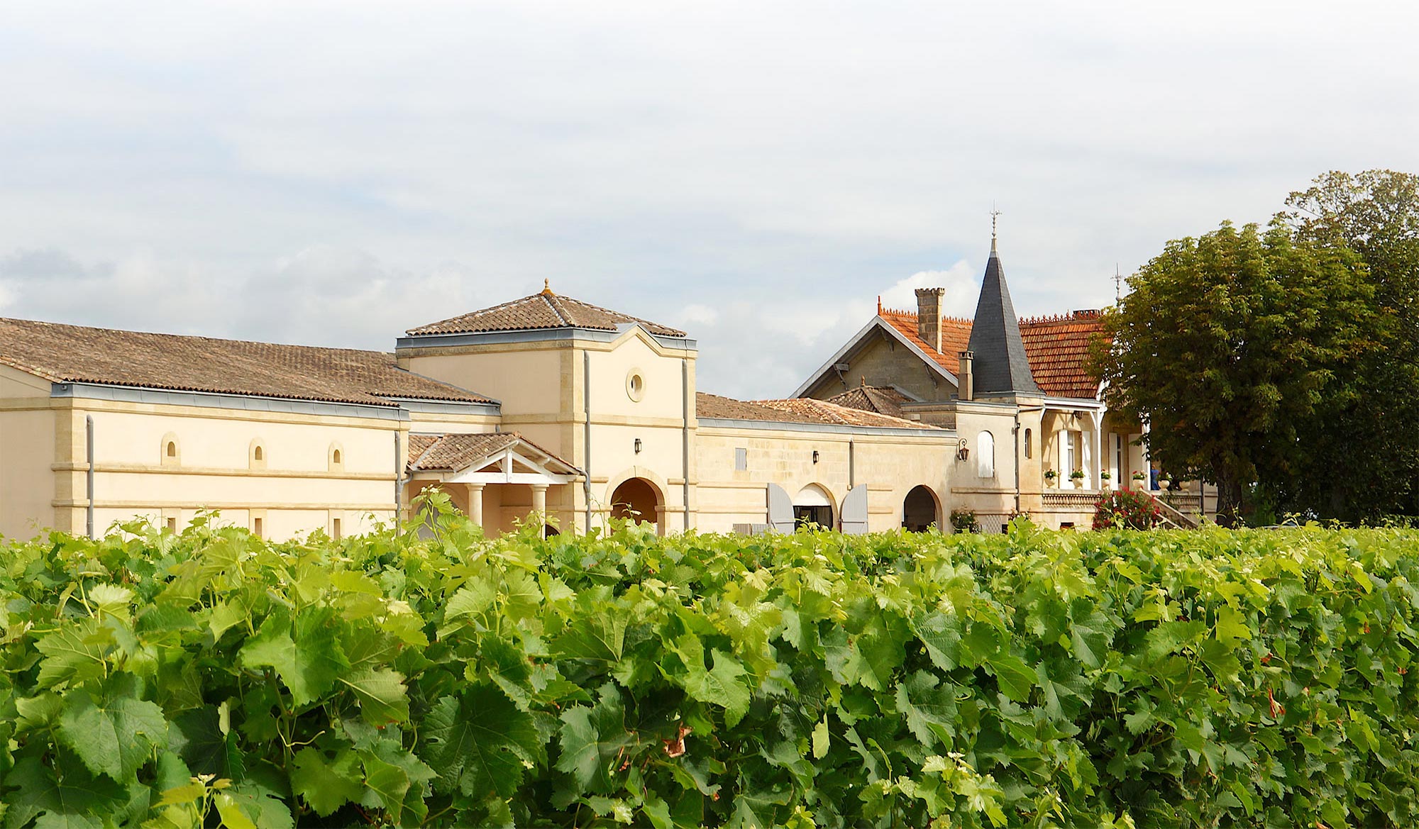 Château la Grâce Dieu — photo 4