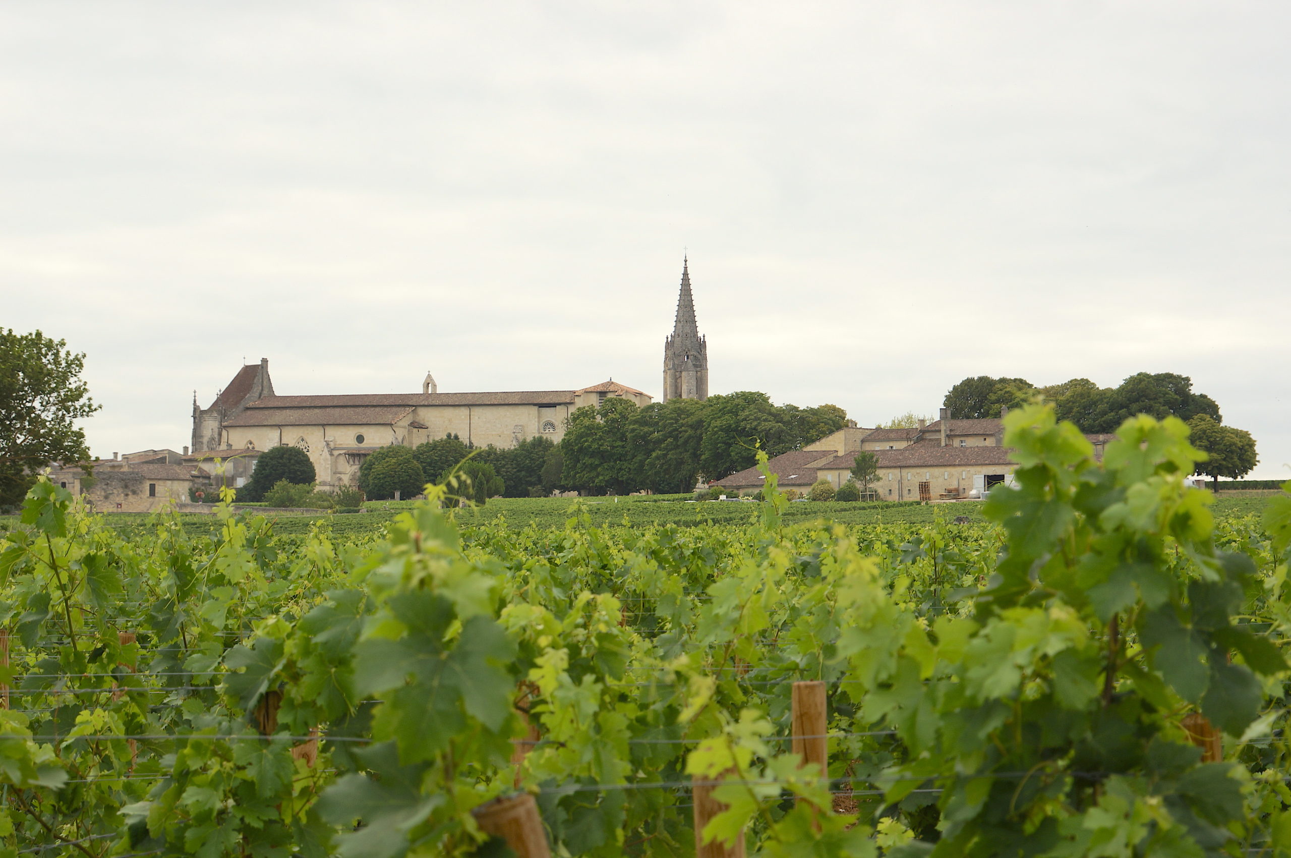 Château la Grâce Dieu - Saint-Émilion Grand Cru