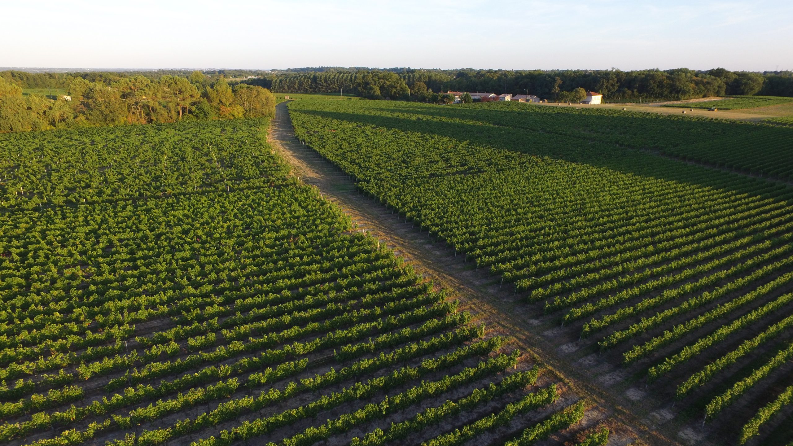 Clos 126 — photo principale