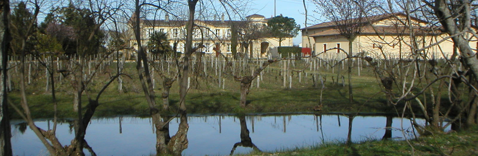Château Bel-Air Pomerol — photo 3