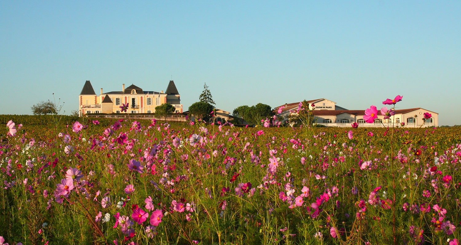 Château De France