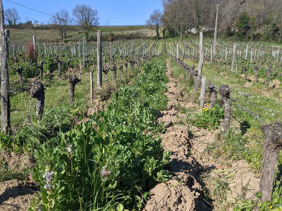 agriculture-biologique