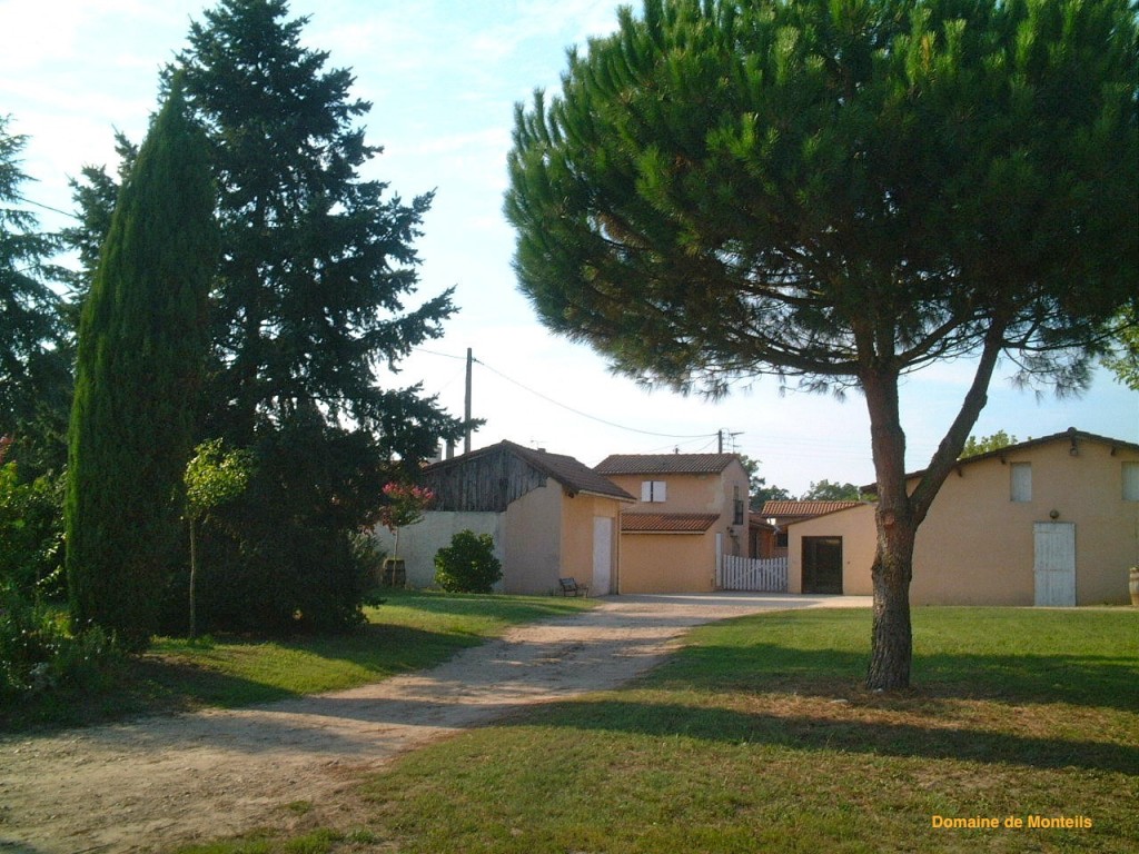 Domaine de Monteils, visite, dégustation, vente directe vin de Sauternes