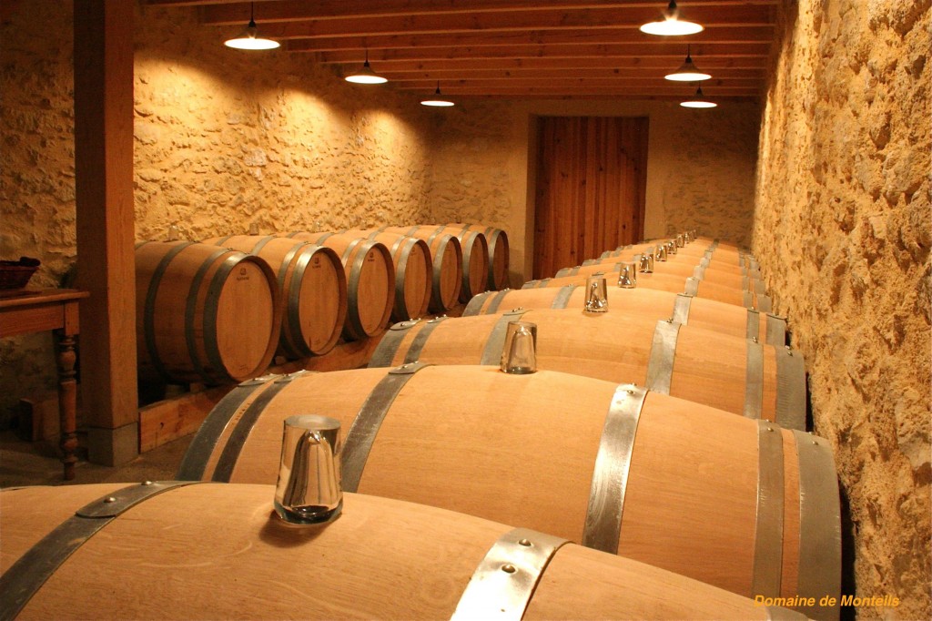 Domaine de Monteils — photo 3