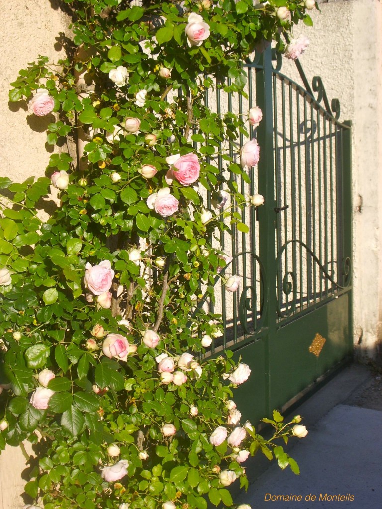 Domaine de Monteils — photo 2