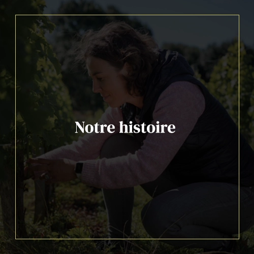 Château La Clotte-Cazalis