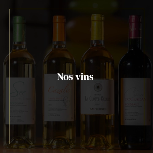 nos vins 01