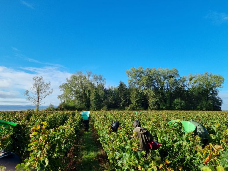 Château Vieux Chevrol — photo 2
