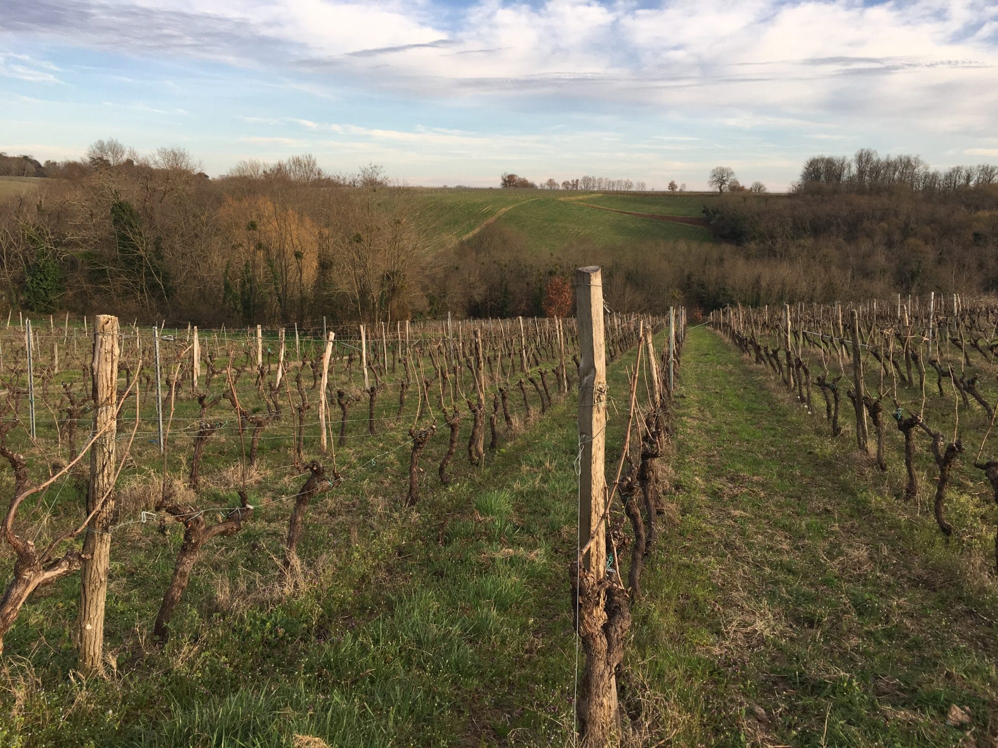 l'hiver au château Beneyt