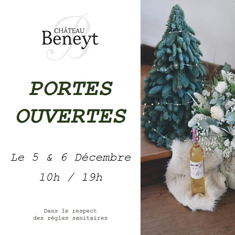 Château Beneyt — photo 7