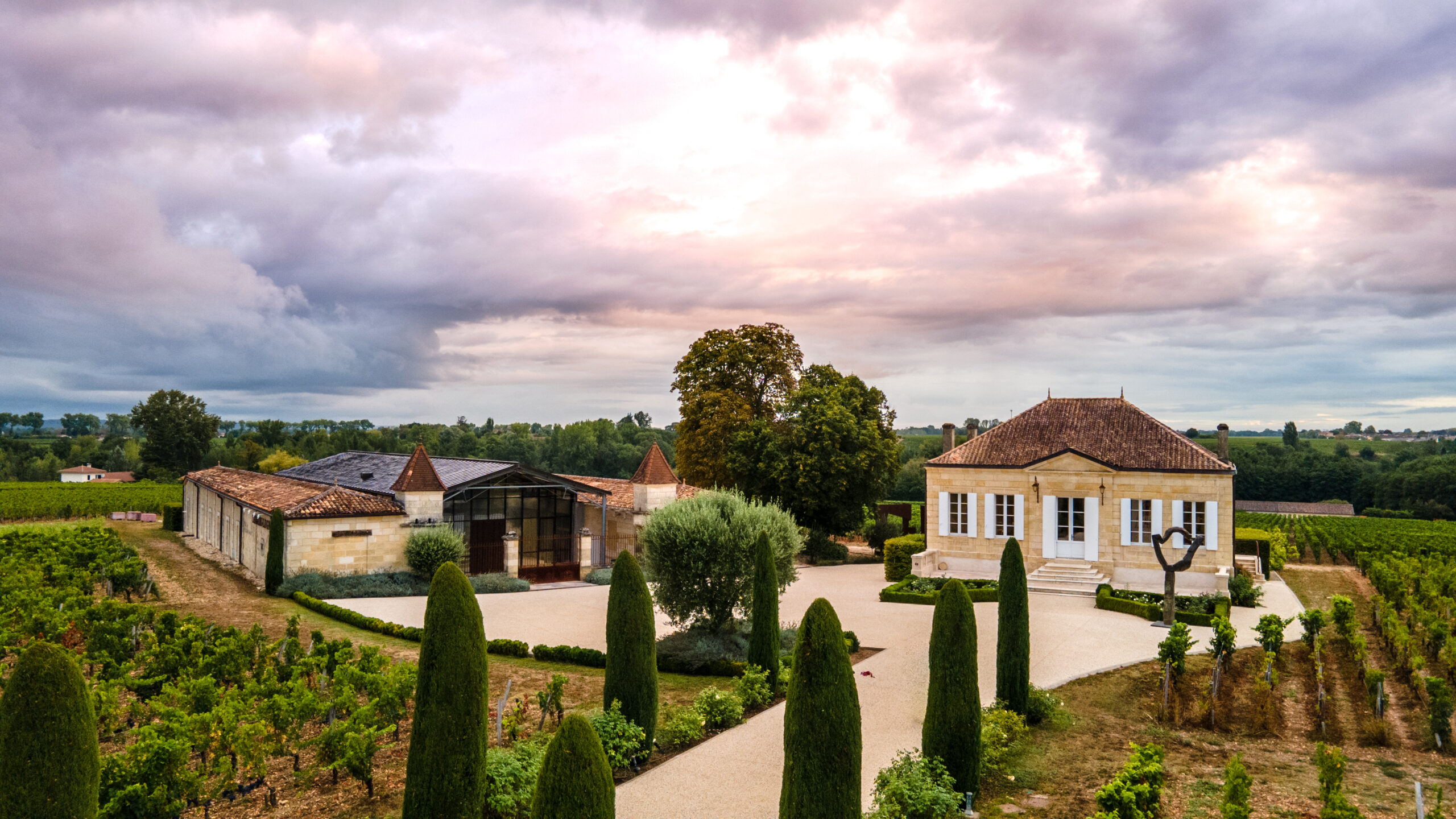 Château Montviel — photo 3