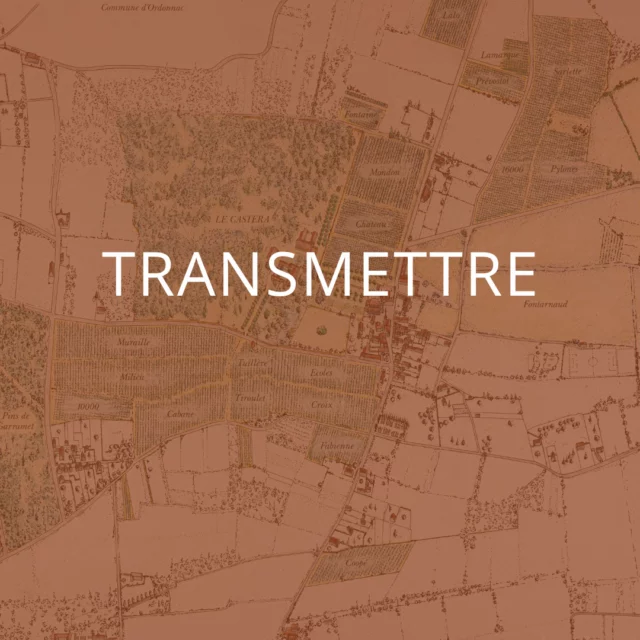Au Château Castera, le vin ne se résume pas à un savoir-faire.  Il est symbole de transmission.  Transmission d’un lieu, d’abord, dont l’histoire traverse les siècles. Transmission de gestes, répétés, ajustés, perfectionnés au fil des générations. Transmission d’une vision : celle d’un vin sincère, ancré dans son terroir et ouvert sur son époque.  Depuis quarante ans, la famille Press s’inscrit dans cette continuité, avec la volonté de préserver, faire évoluer et partager l’esprit de Castera.  Car ici, chaque millésime raconte autant le passé qu’il prépare l’avenir.  #ChateauCastera #Transmission #Médoc #Vignoble #ArtDeVivre #Vin #terroir