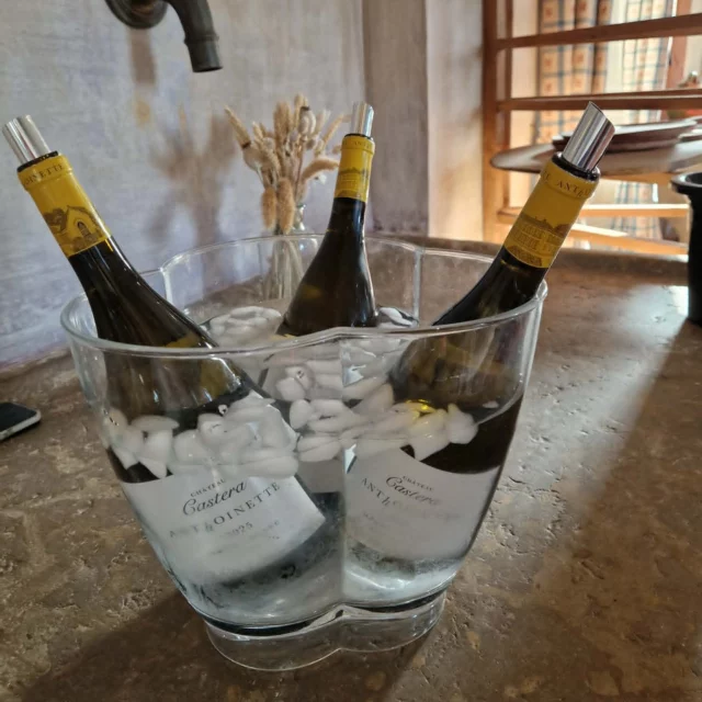 Retour sur la très belle soirée du 24 juin organisée par @lessaisonsdeschateaux au @chateaudutertre, en collaboration avec le Chef @sylvain_renzetti et les équipes de @restaurant_son et @son.oftheson.  À l'occasion de cette déambulation gastronomique, notre cuvée Anthoinette 2025, Sauvignon Blanc du Médoc, s'est accordée avec une création aussi audacieuse que poétique du Chef : « La pierre devient calcaire ».  Trompe-l'œil de pierre, mousse de pêche, tartare de concombre et cœur de sardine en ceviche aux algues.  Une interprétation sensible et créative qui a sublimé les accords mets & vins tout au long de cette soirée placée sous le signe du partage, de la gastronomie et de l'art de vivre.  Un grand merci au Chef Sylvain Renzetti et à ses équipes pour cette expérience culinaire singulière.  📍 @chateaudutertre  L'abus d'alcool est dangereux pour la santé, à consommer avec modération.  #LesSaisonsDesChâteaux #Gastronomie #AccordsMetsEtVins #Médoc #MédocBlanc #Anthoinette #ChâteauCastera #ArtDeVivre