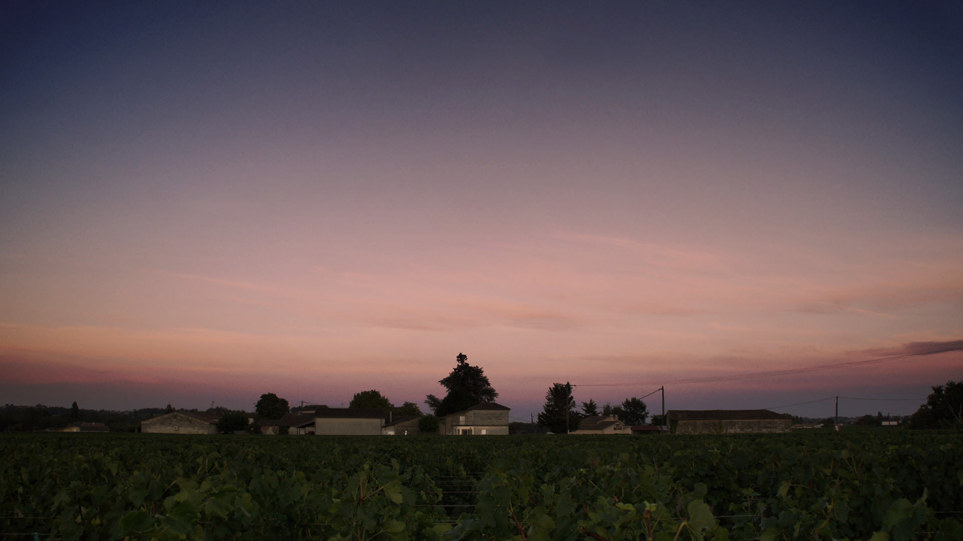 Château le Bon Pasteur — photo 2