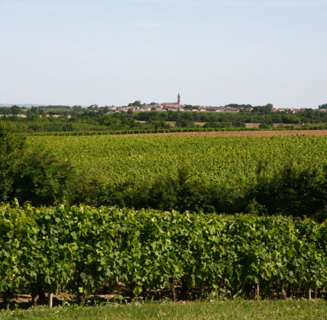 Château Pontoise Cabarrus — photo 5