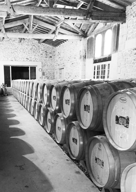 Château Pontoise Cabarrus — photo 3