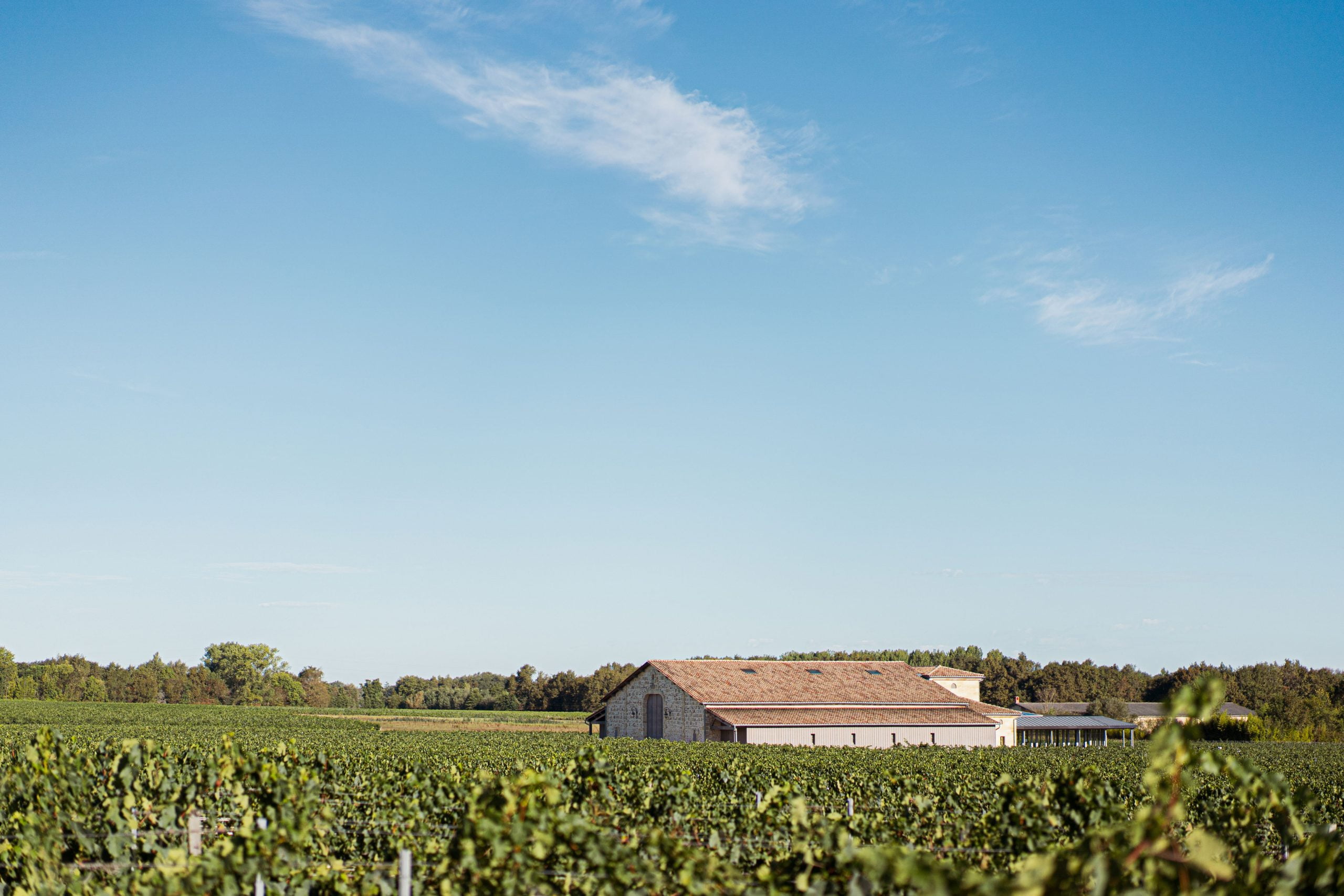 Château Toulouze