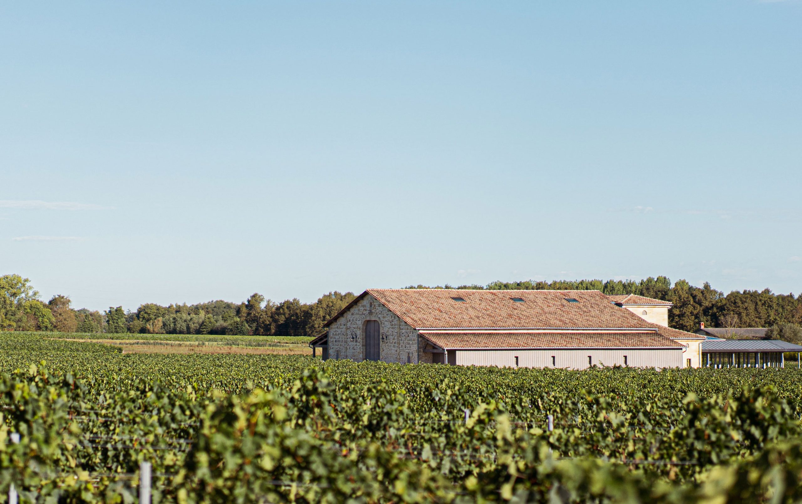 Château Toulouze