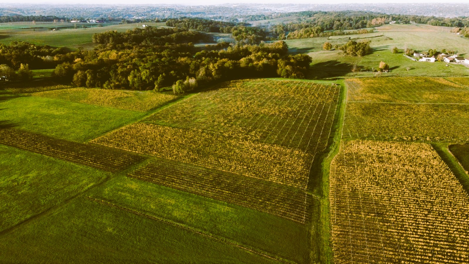 Château Artigue - Bordeaux Rosé
