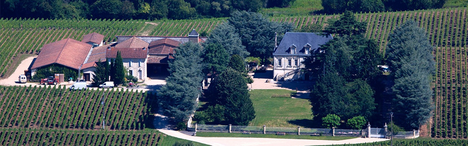 Domaine Maison Blanche - Montagne-Saint-Émilion