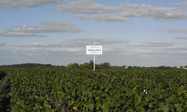 Château Hosanna — photo 6
