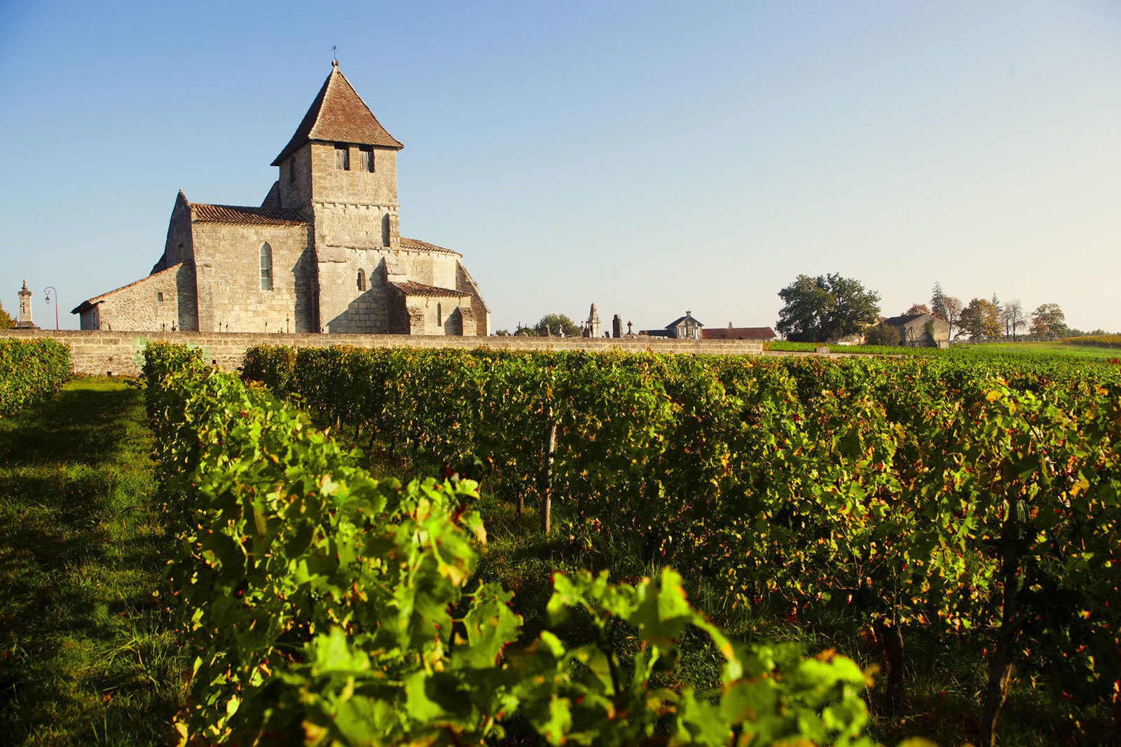 Château Cheminade - Castillon Côtes de Bordeaux
