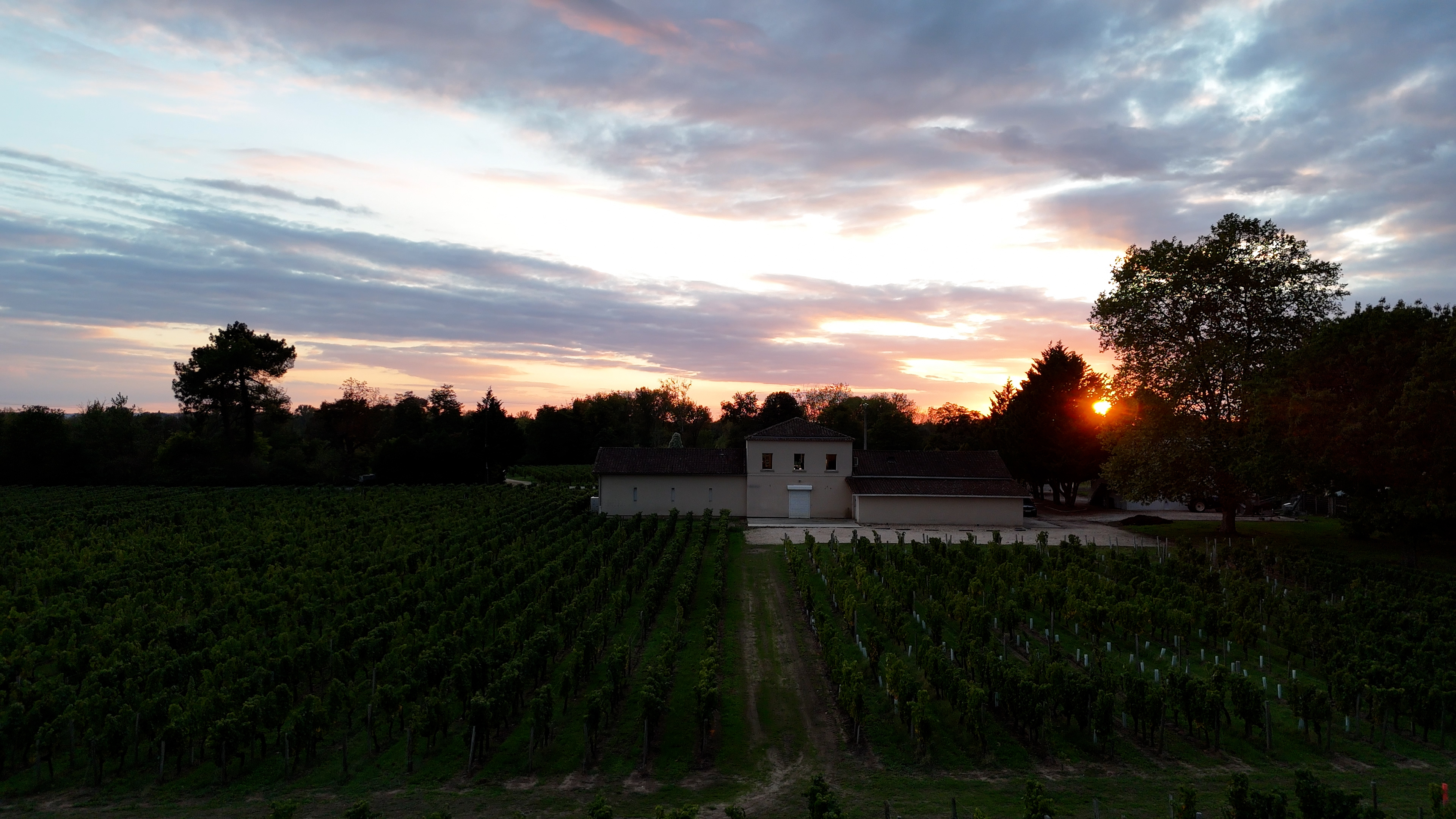 Château l Hermitage Lescours - Saint-Émilion Grand Cru