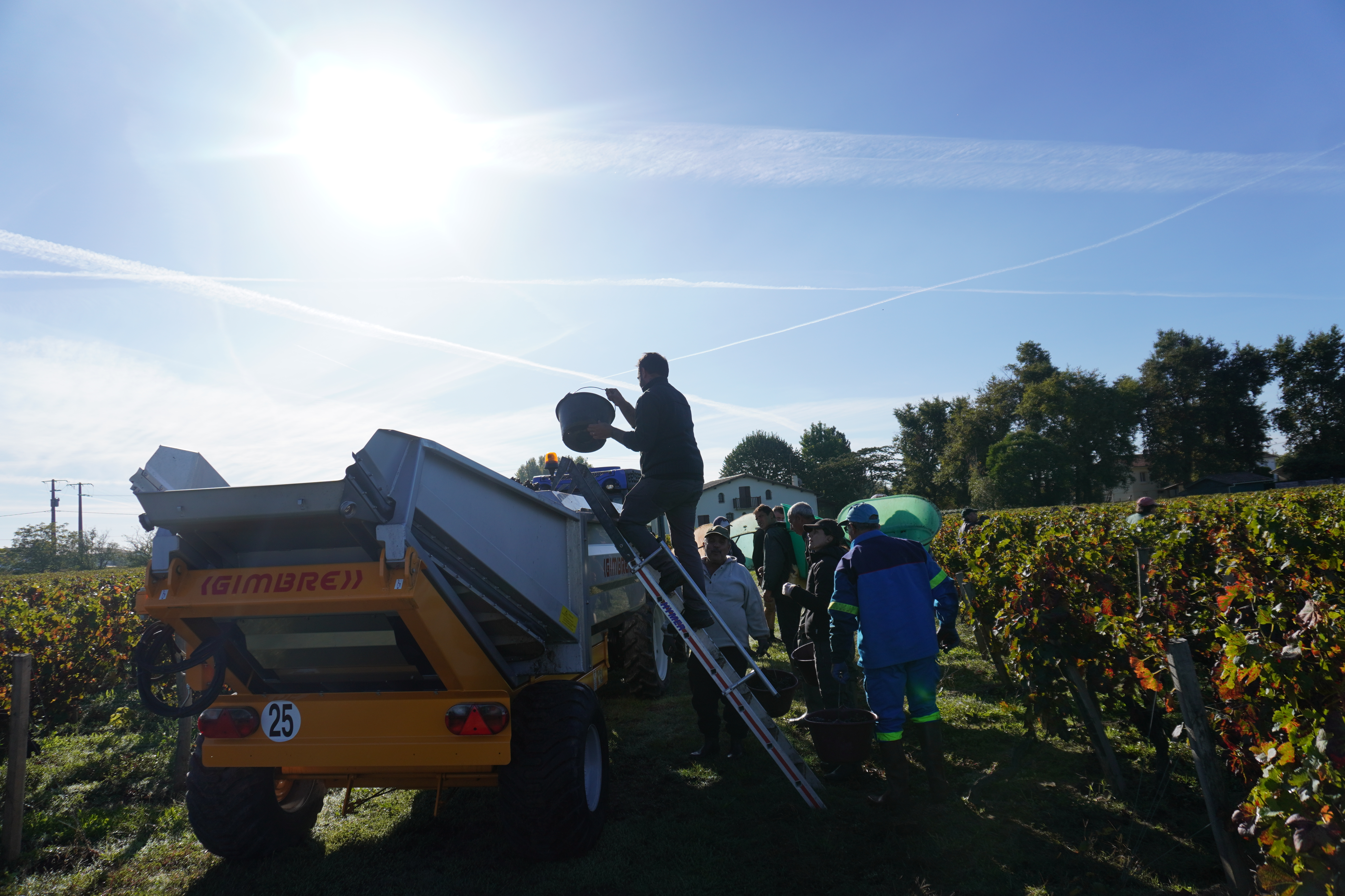 Harvest season at Château L'Hermitage Lescours