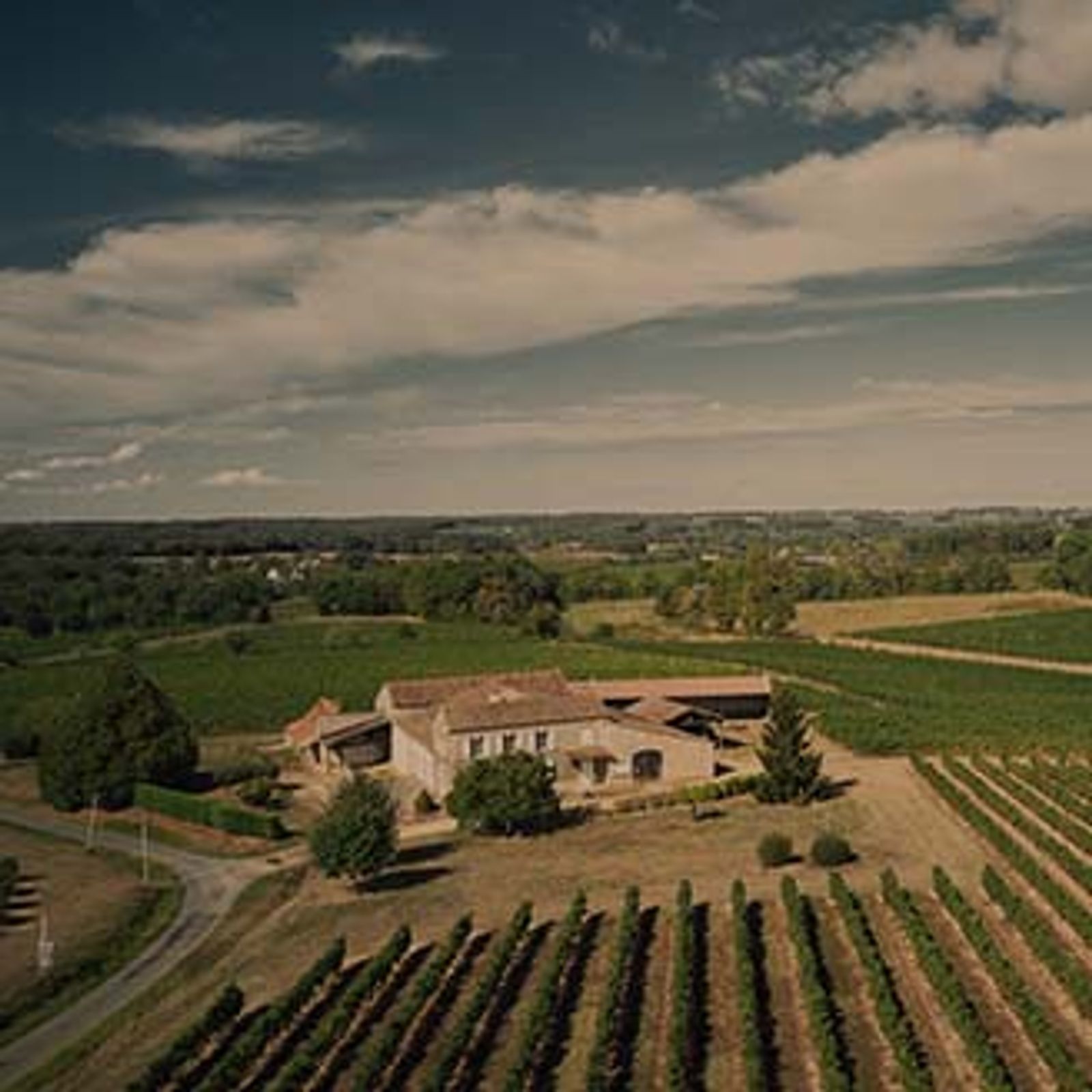 Château Segonzac la Forêt — photo 4