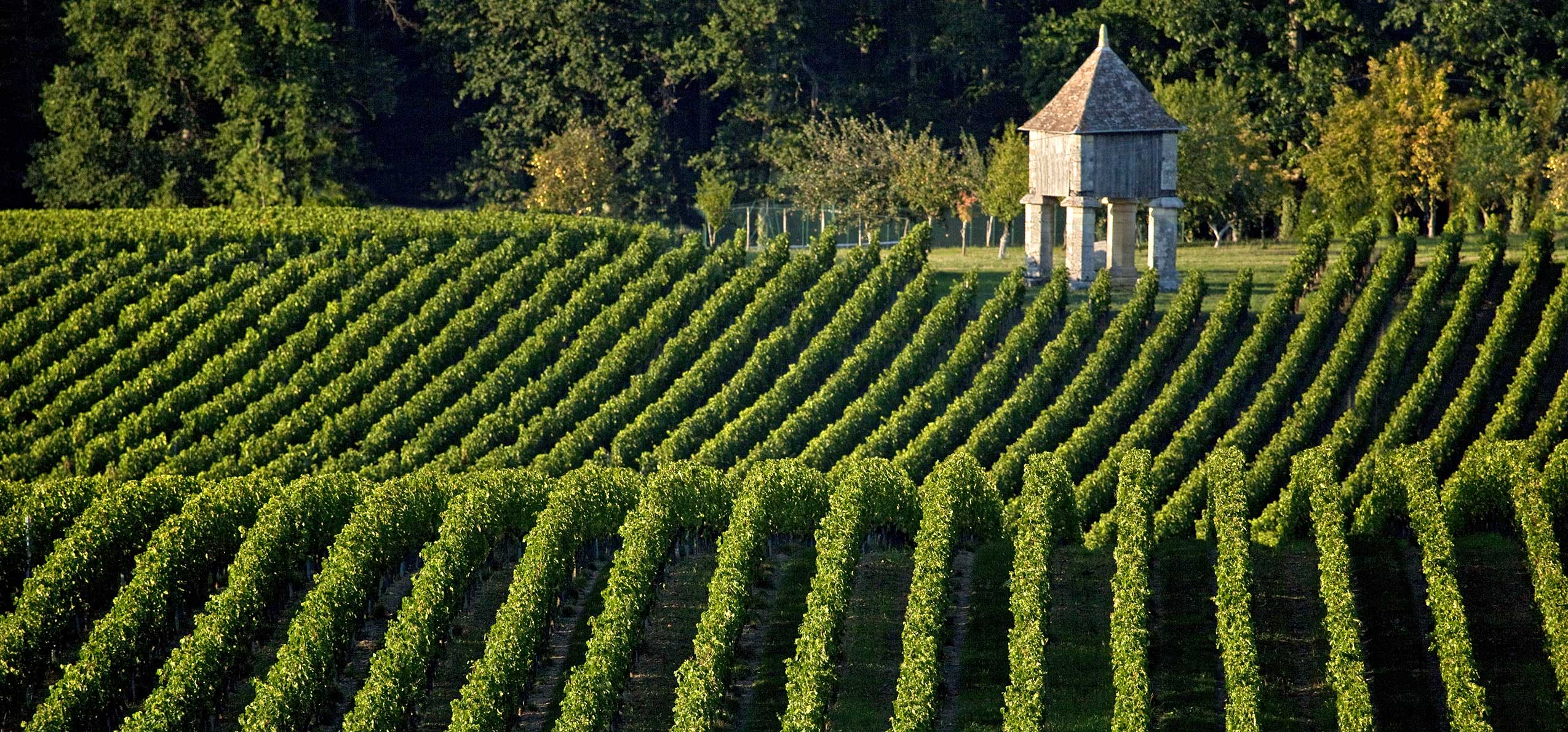 Montagne-Saint-Emilion, paysages de passion