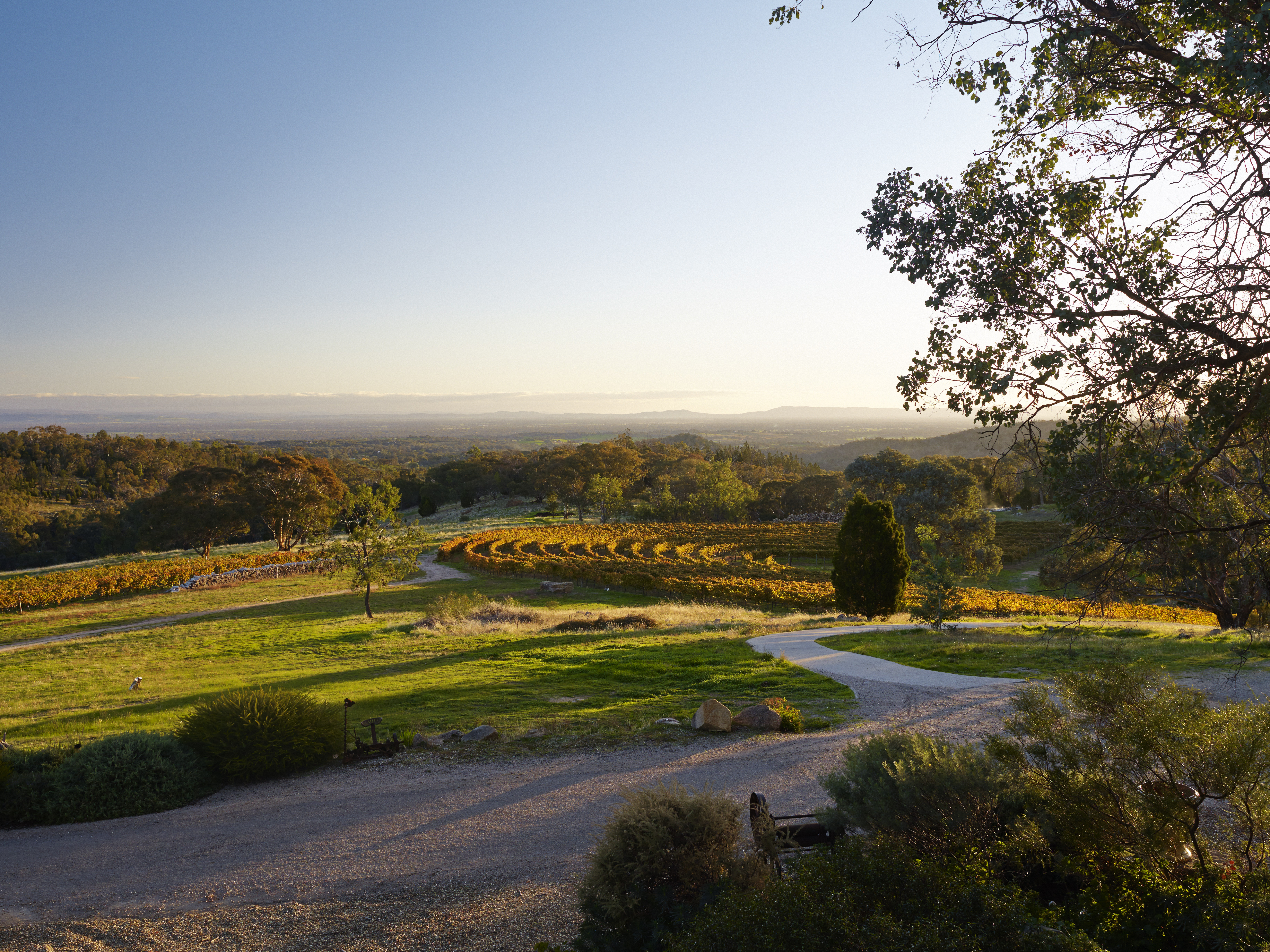 Château La Fleur-Pétrus