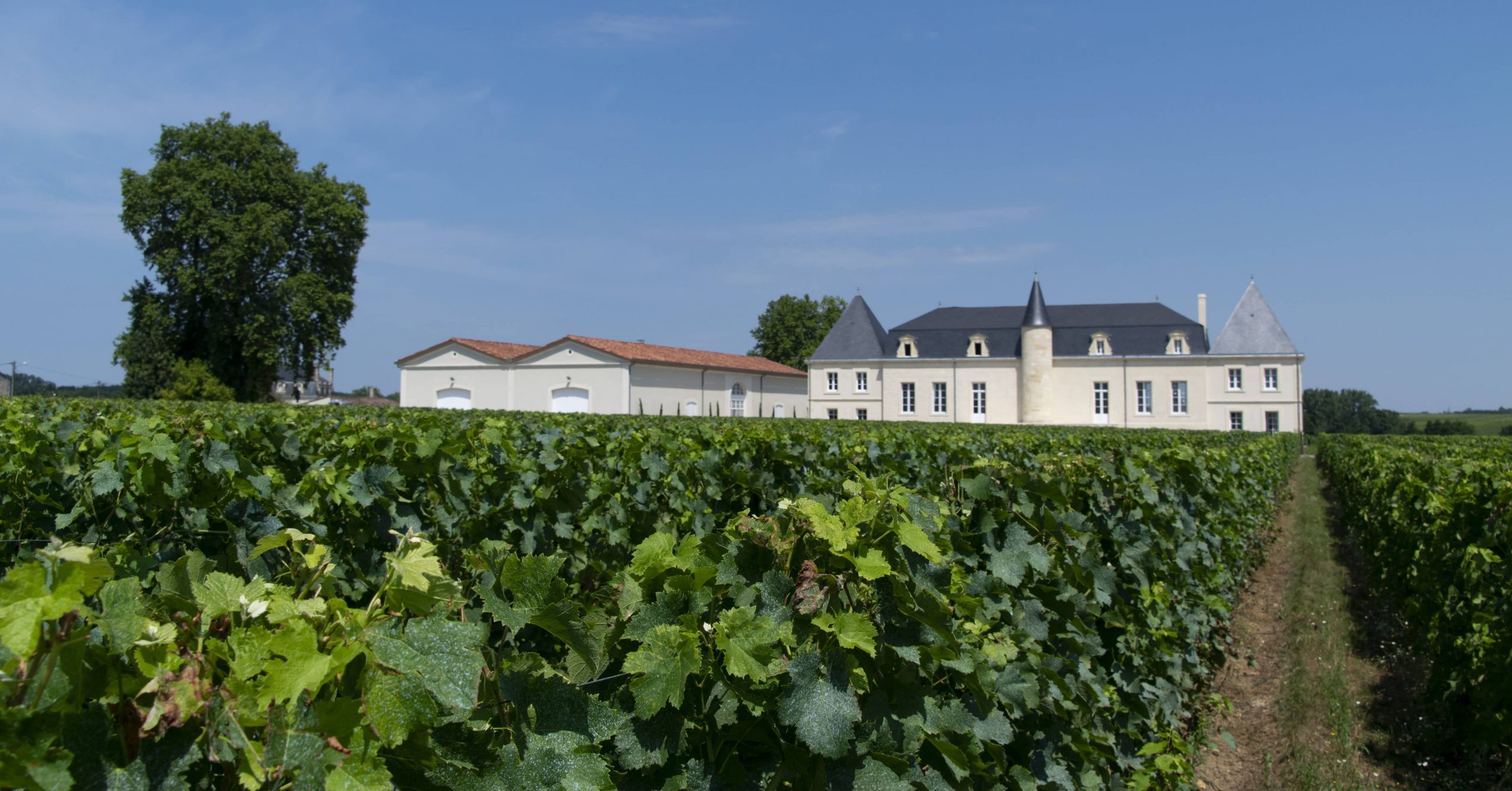 Château Bouqueyran