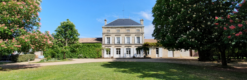 Château Plince — photo 2