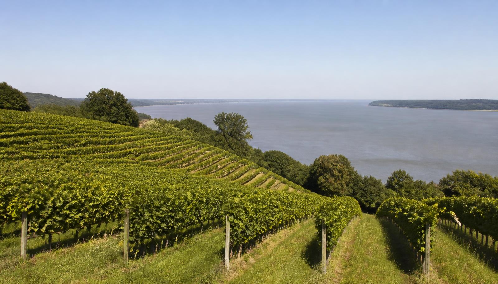 Château de la Lande - Sainte-Foy Côtes de Bordeaux