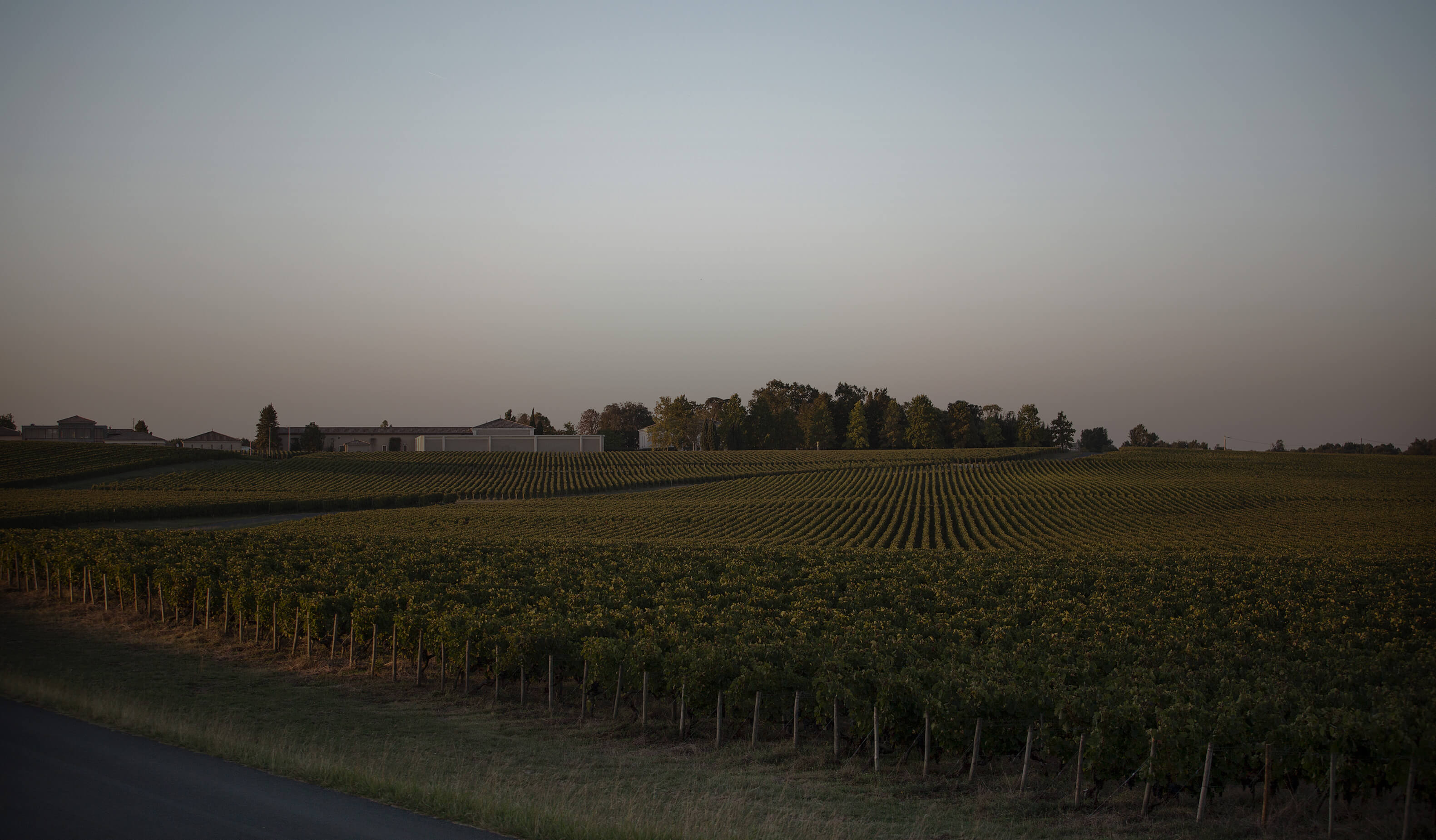 Château La Cardonne — photo 6